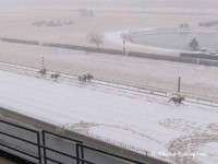 Hawthorne Racecourse