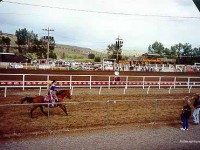 Eastern Oregon Livestock Show