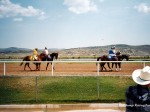 Wyoming Downs