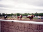 Miles City, and Bucking Horse Sale racing, 2003