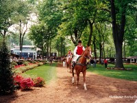 Delaware Park 2001