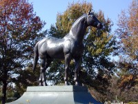 Kentucky Horse Park, 2001